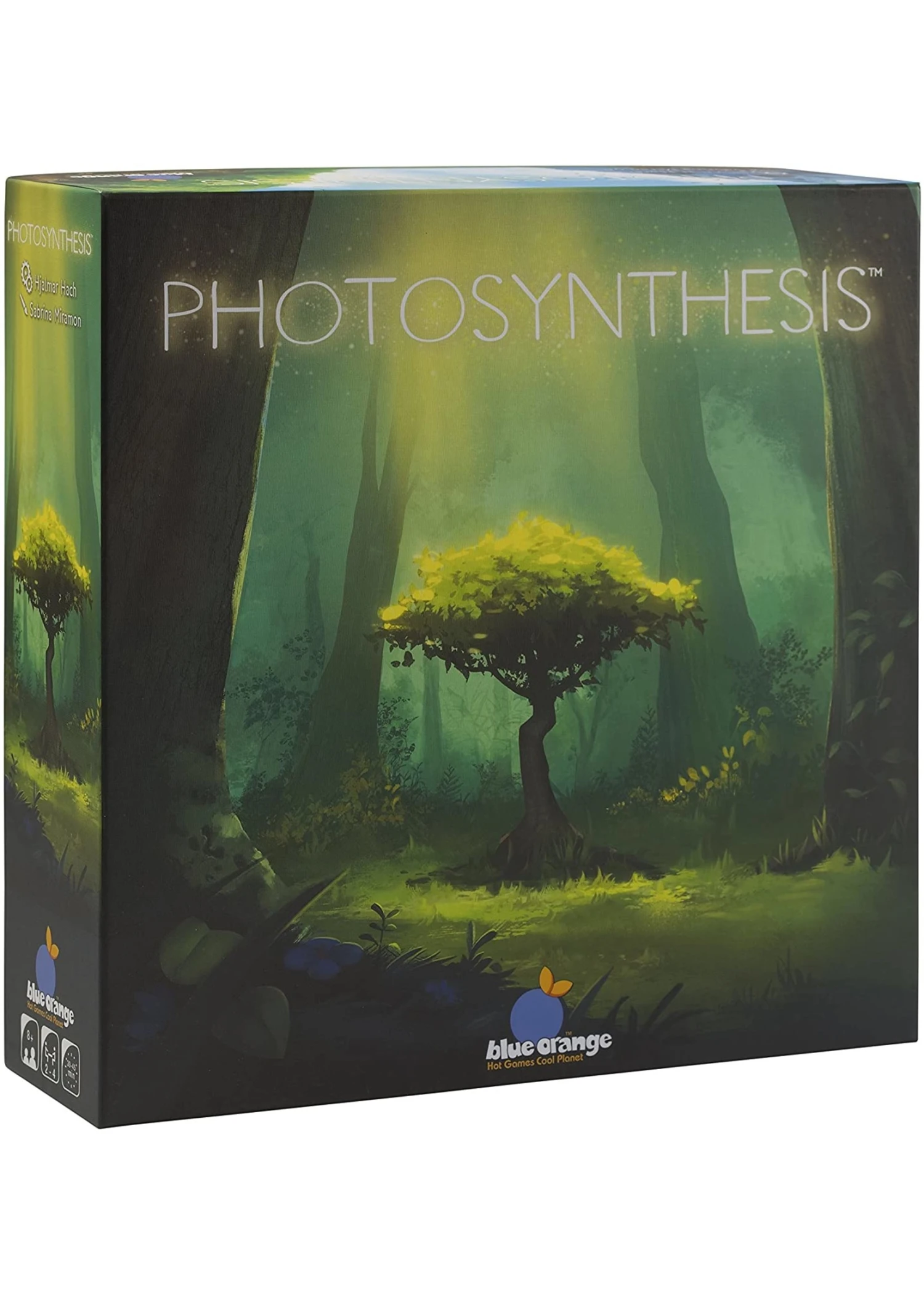 Blue Orange Photosynthesis 3 Blue Orange Photosynthesis