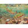 Brook Trout - 1000 Piece Puzzle -BOARDGAMES Sales cobble hill brook trout 1000 piece puzzle
