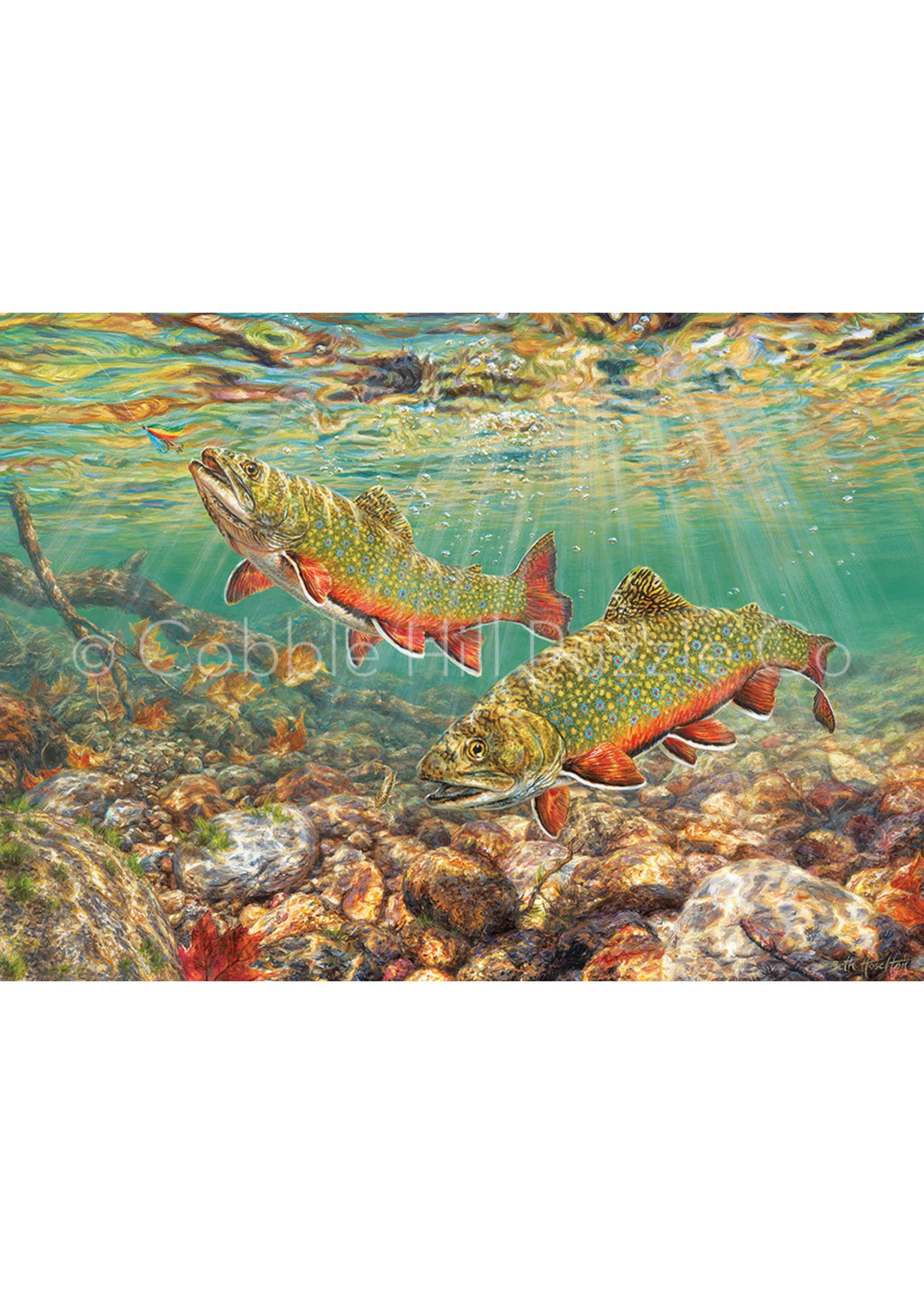 Brook Trout - 1000 Piece Puzzle 3 Brook Trout - 1000 Piece Puzzle