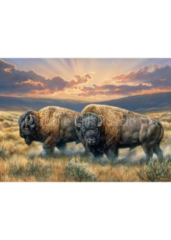 Dusty Plains - 1000 Piece Puzzle