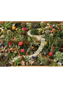 Succulent Garden - 1000 Piece Puzzle