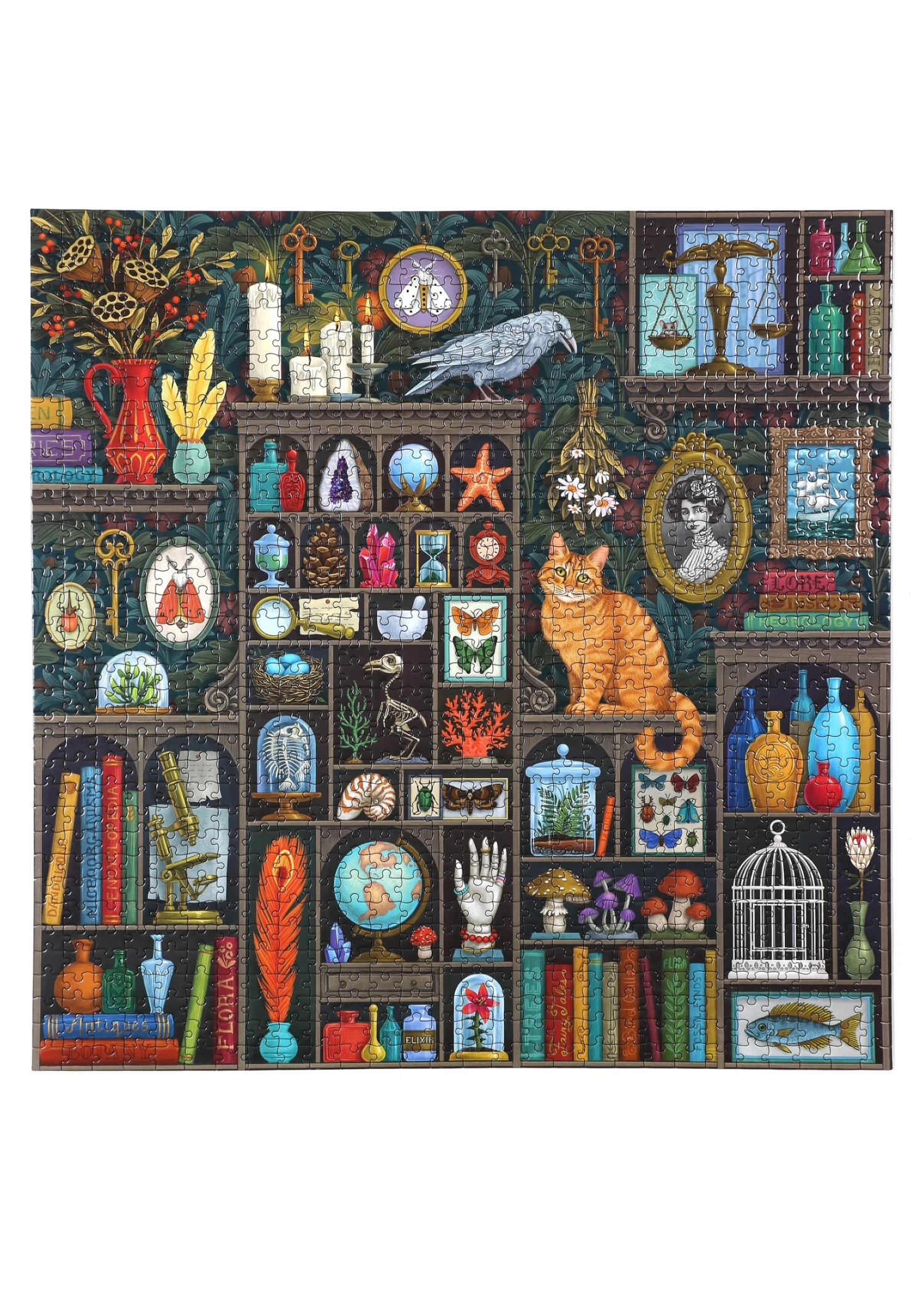 Eeboo Alchemist's Cabinet - 1000 Piece Puzzle 5 Eeboo Alchemist's Cabinet - 1000 Piece Puzzle - Image 3
