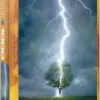 Eurographics Lightning Striking Tree - 1000 Piece Puzzle