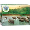 Eurographics Rainforest - 1000 Piece Puzzle -BOARDGAMES Sales eurographics rainforest 1000 piece puzzle