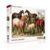 Horse Breeds - 1000 Piece Puzzle 2 Horse Breeds - 1000 Piece Puzzle -BOARDGAMES Sales new york puzzle co horse breeds 1000 piece puzzle