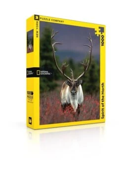 Spirit Of The North - 1000 Piece Puzzle