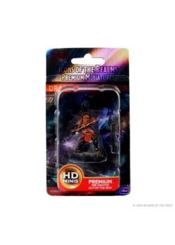 Wizkids D&D: IR: Prem: Dragonborn Fighter (He/Him/They/Them)