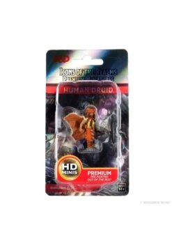 Wizkids D&D: IR: Prem: Human Druid (He/Him/They/Them)