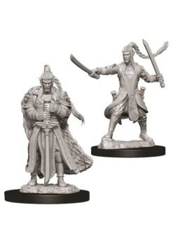 Wizkids D&D NMU: Male Elf Paladin
